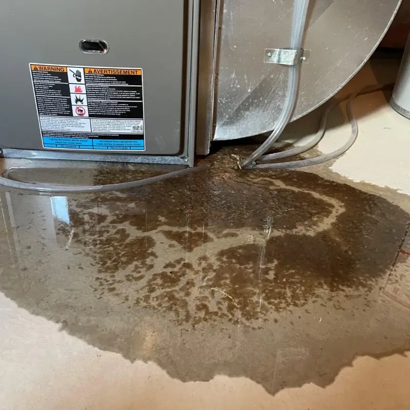 Appliance Leak Cleanup in Bayonet Point, FL